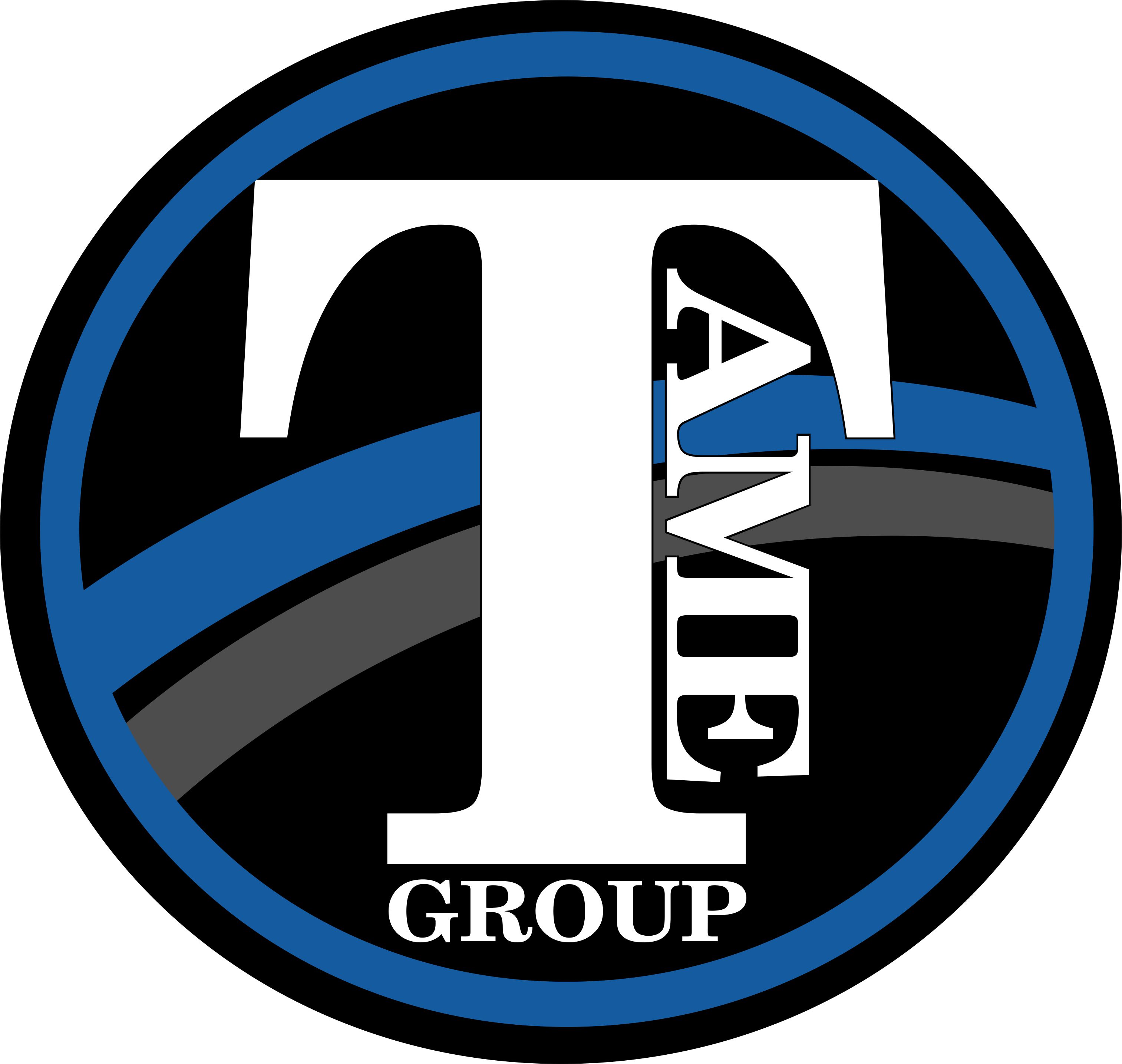 TAME Group logo